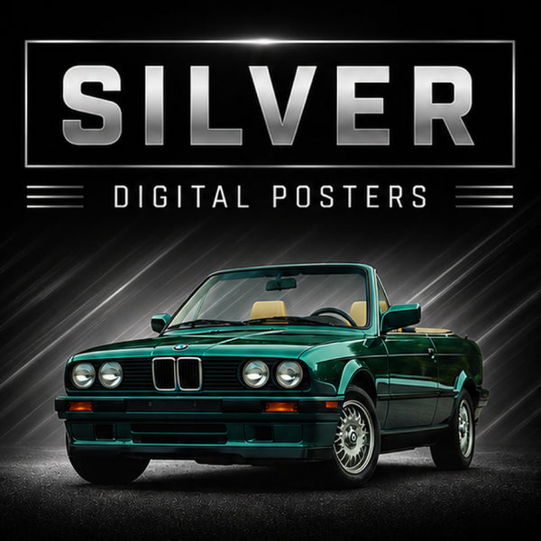 PDG315 BMW Silver