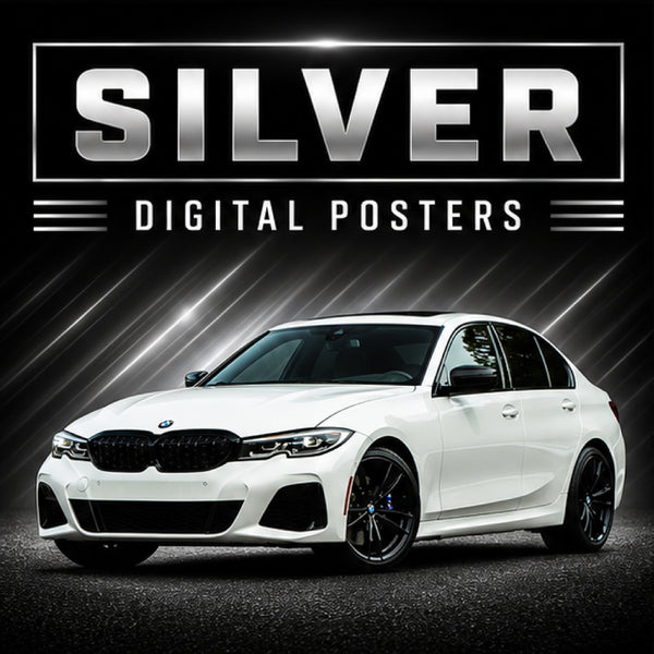 PDG319 BMW Silver