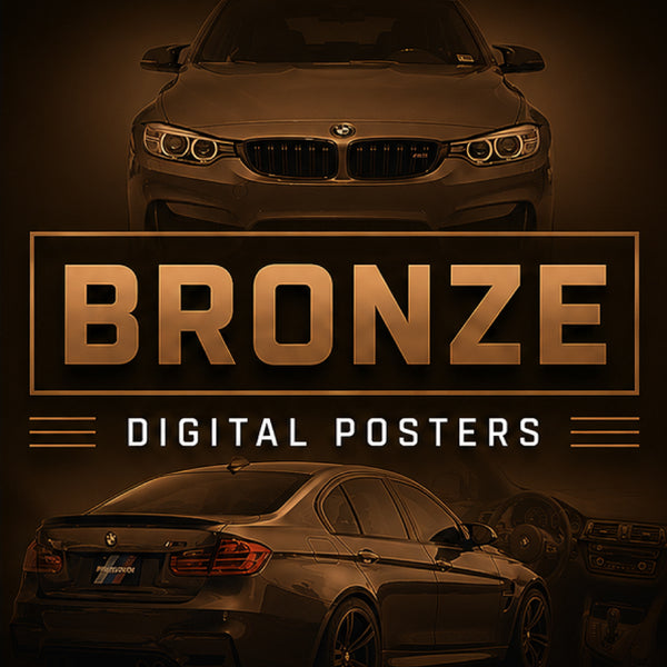 PDG309 BMW Bronze
