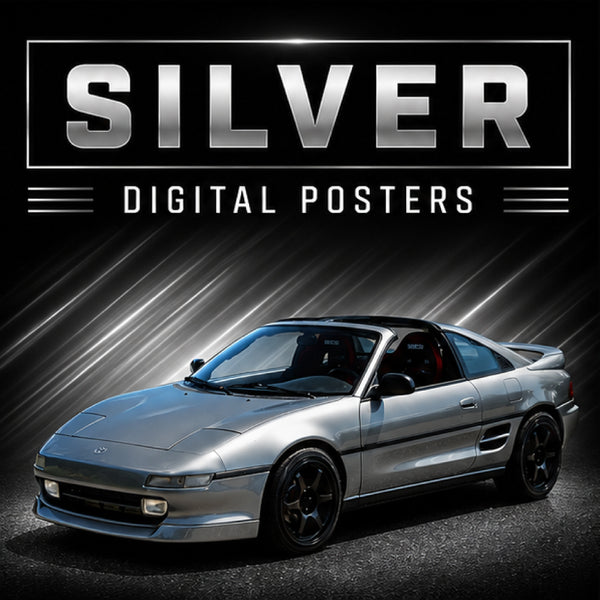 PDG317 MR2 Silver