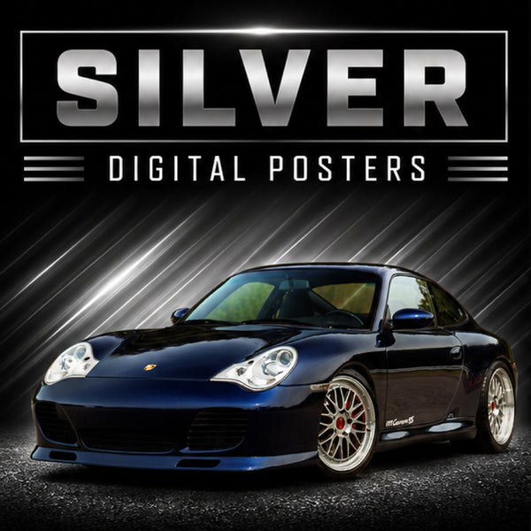 PDG320 Porsche Silver