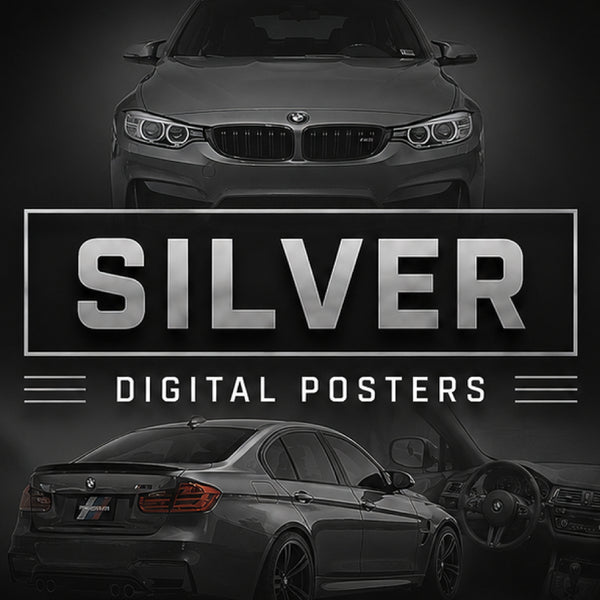 PDG309 BMW Silver